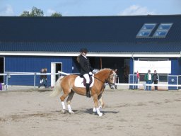 LF HSC - 0277_web